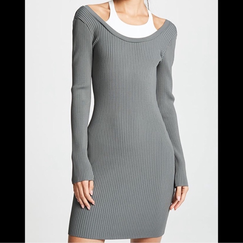 Alexander Wang Dress.
